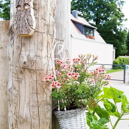 Appartement Sonnenblumenhaus 02 *