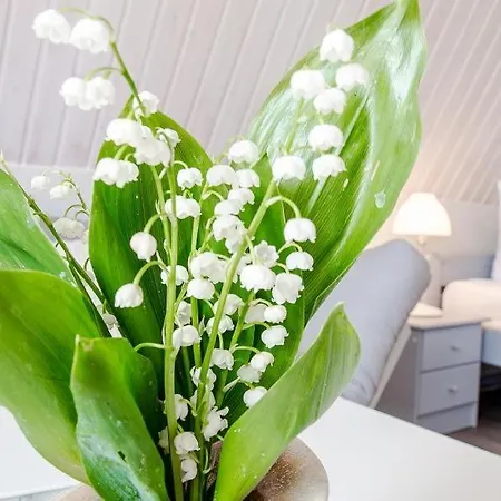 Appartement Sonnenblumenhaus 02 *