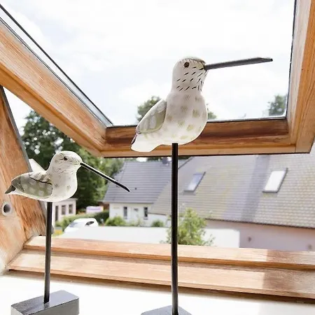 Sonnenblumenhaus 02 Prerow