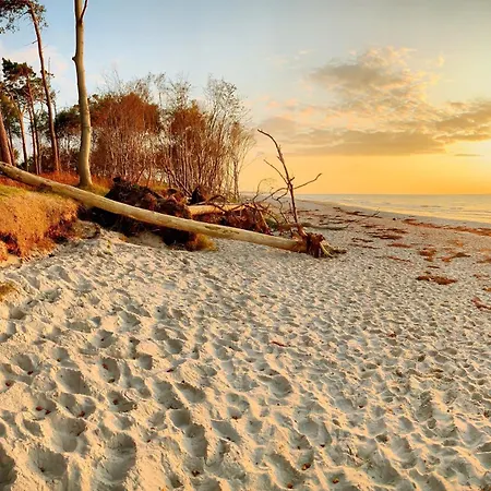 Appartement Sonnenblumenhaus 02 Prerow