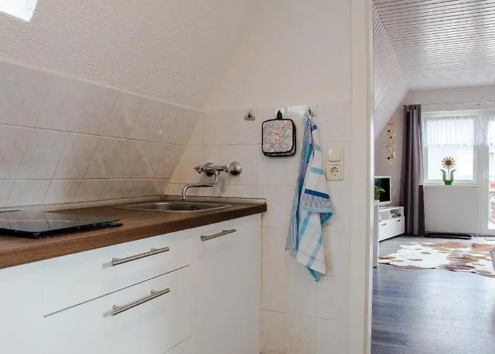 Sonnenblumenhaus 02 아파트 프레로