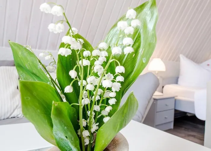 아파트 Sonnenblumenhaus 02 *