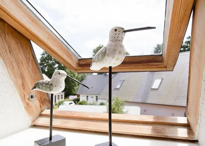 Sonnenblumenhaus 02 프레로