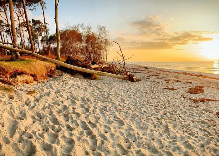 아파트 Sonnenblumenhaus 02 프레로